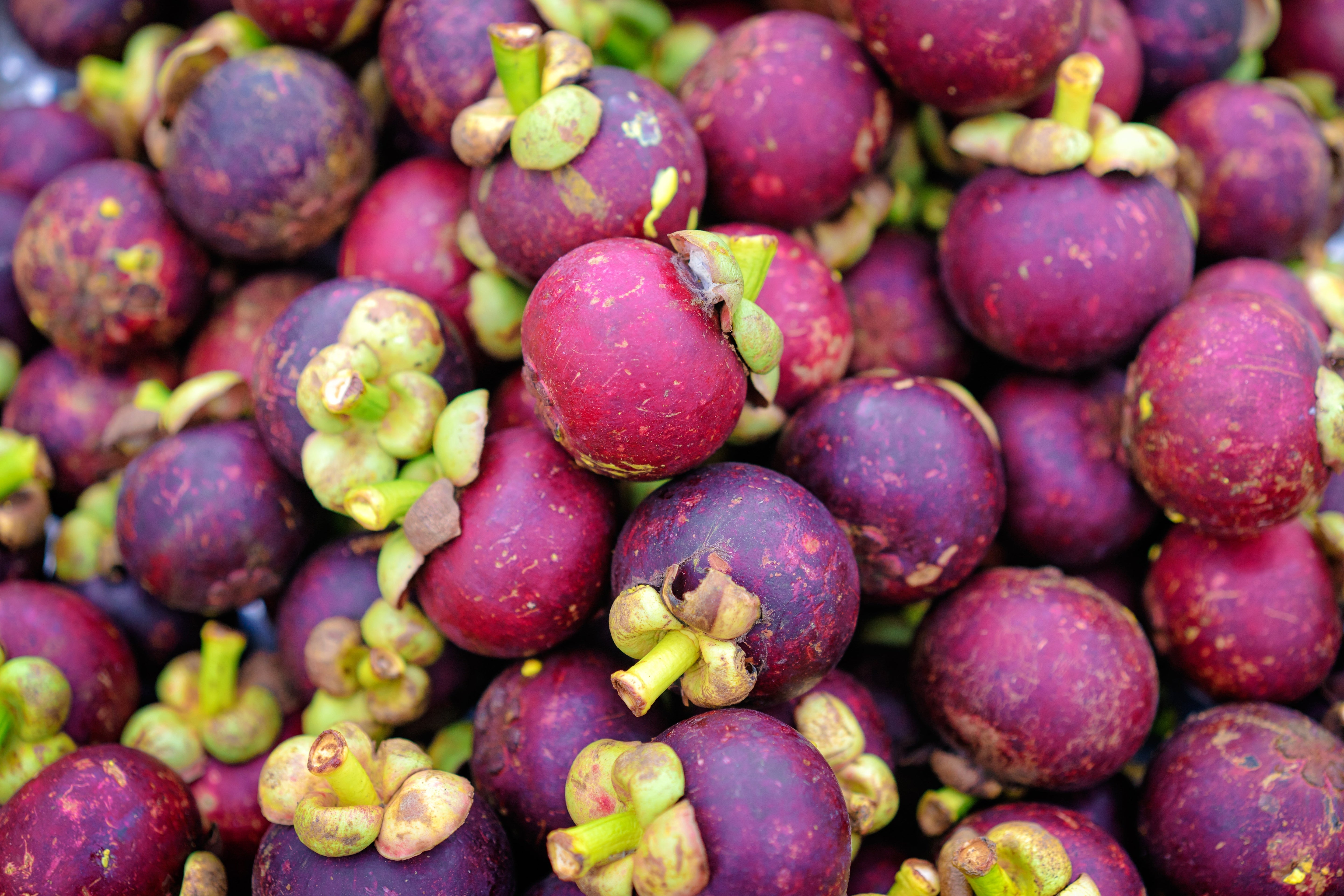 MANGOSTEEN OIL