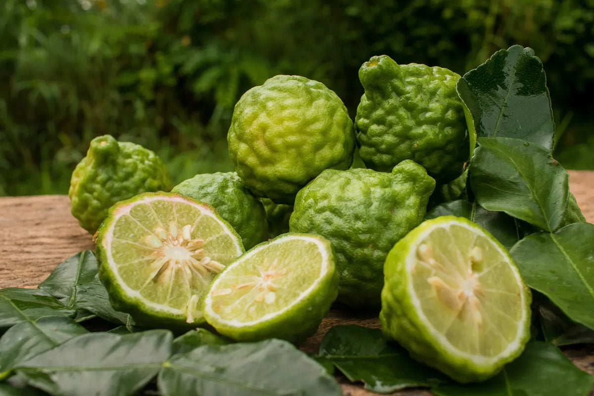 Close-up of whole and sliced green citrus fruits with rough, textured skin, pale flesh and fresh green leaves.