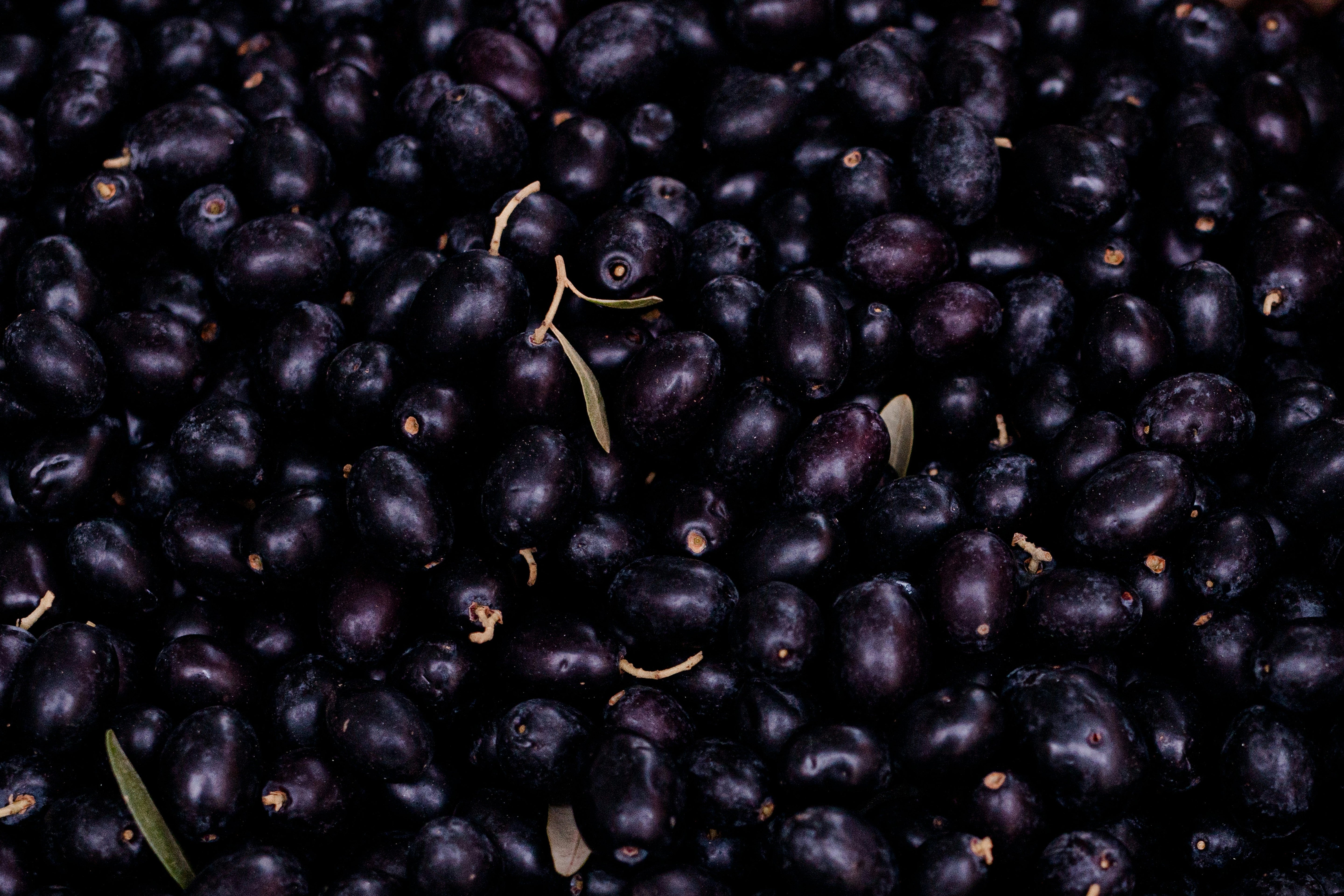 ACAI OIL