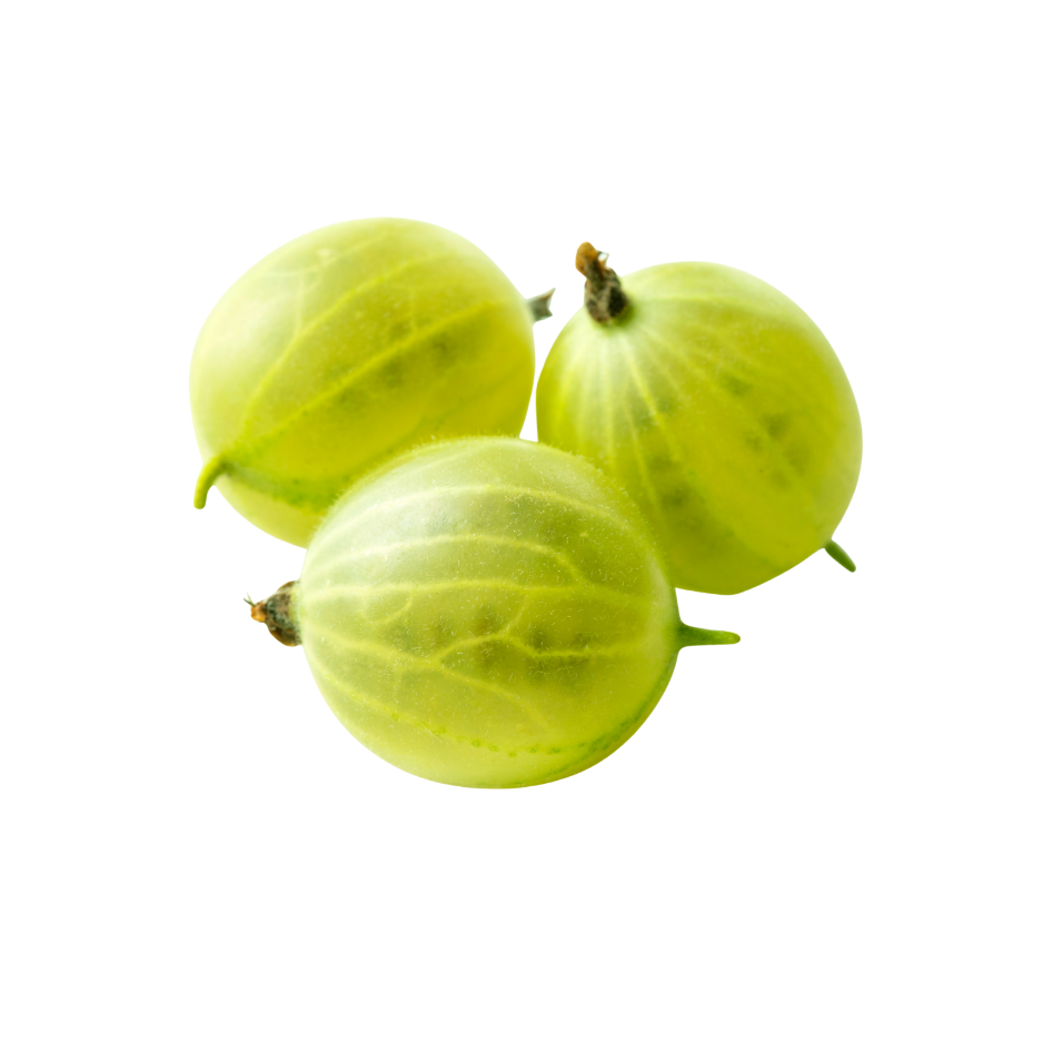 Fresh green amla fruits used as a skincare ingredient