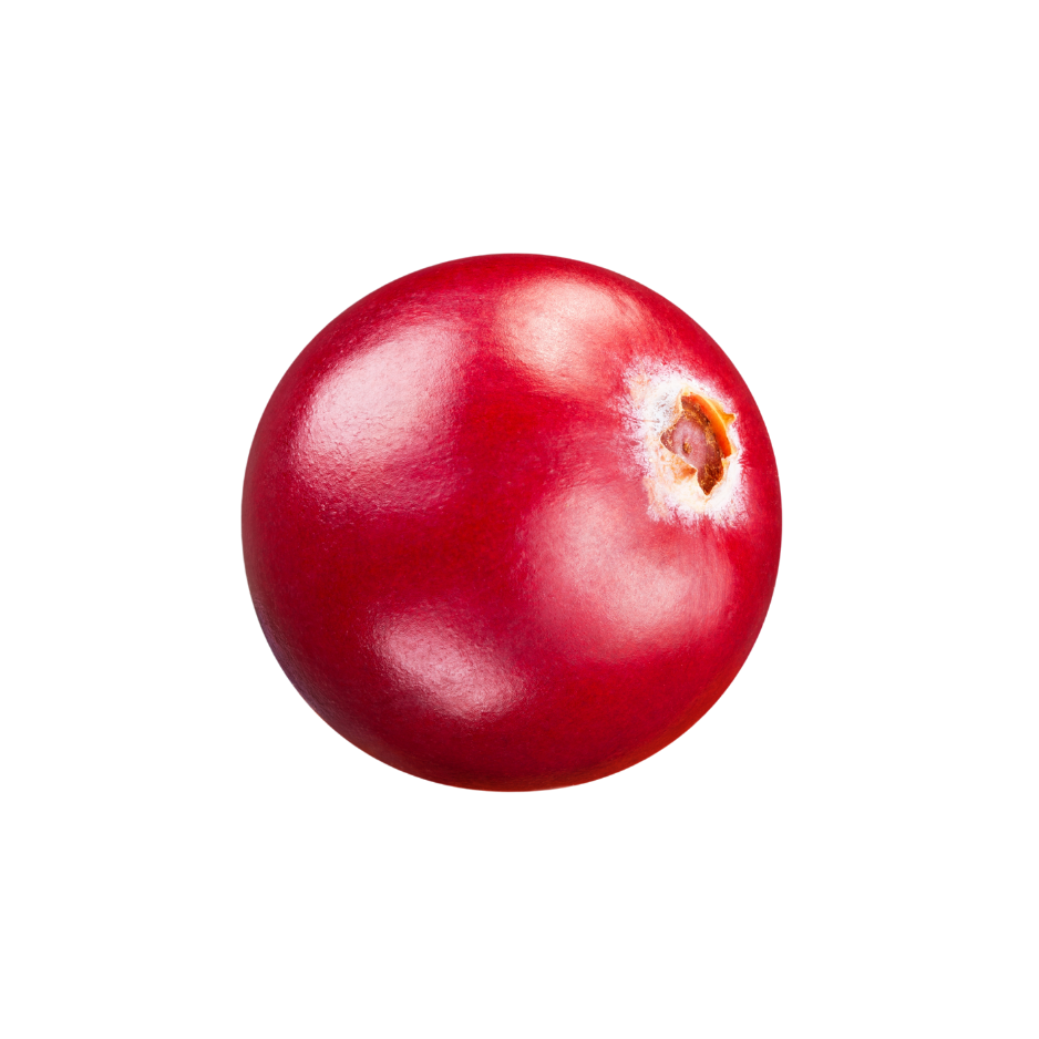 Fresh cranberry used in Celeste Switala skincare products