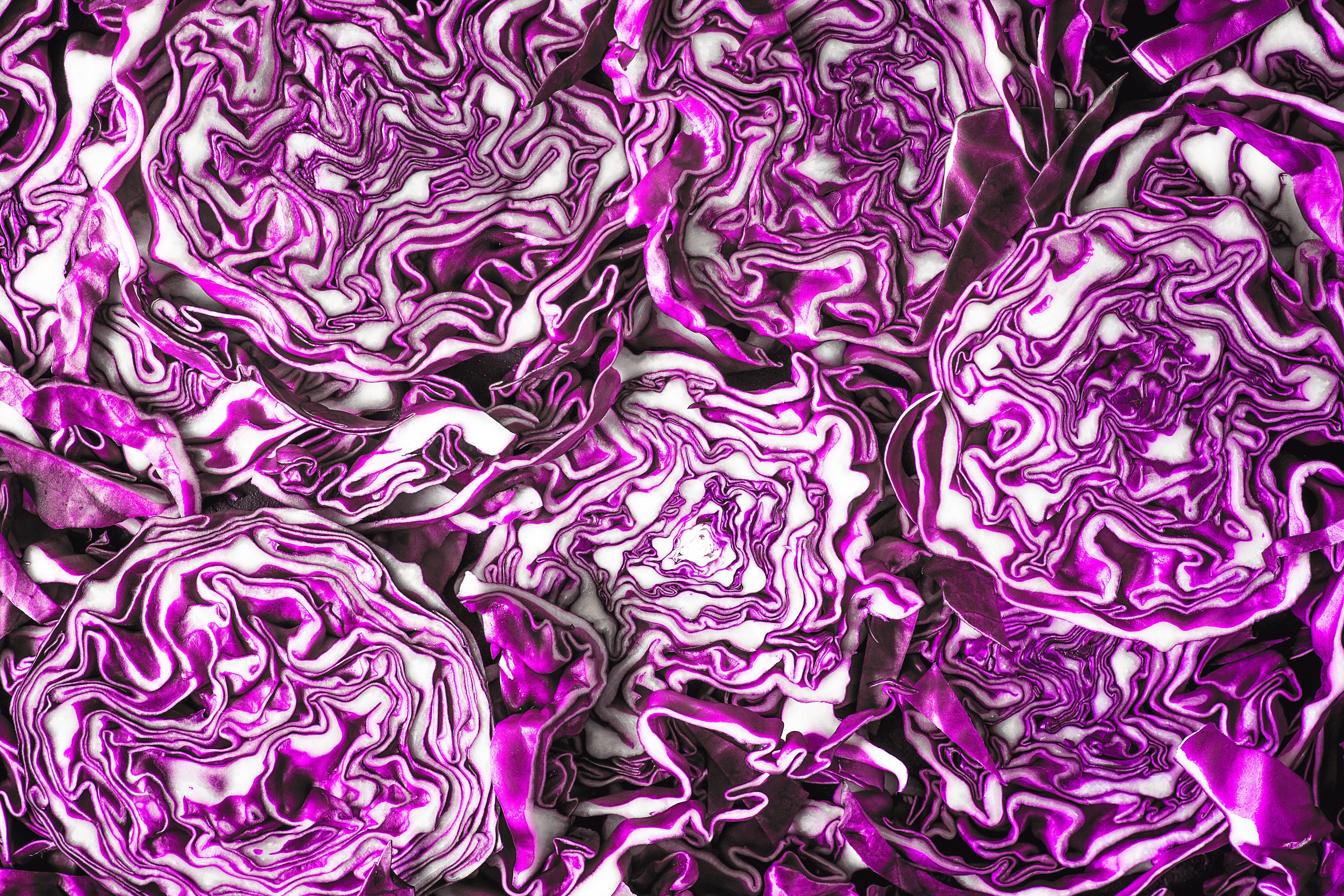RED CABBAGE OIL
