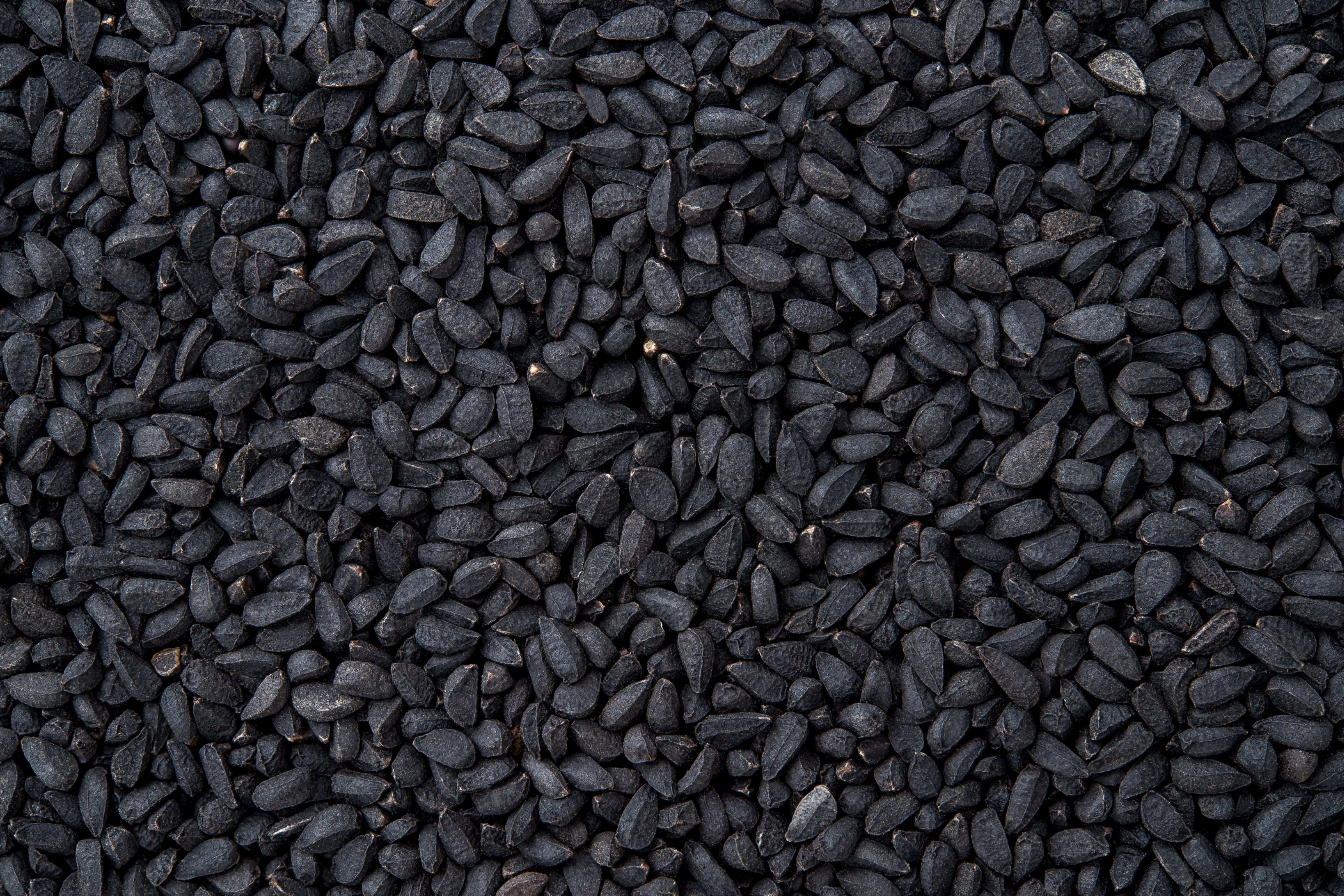 BLACK SEED OIL