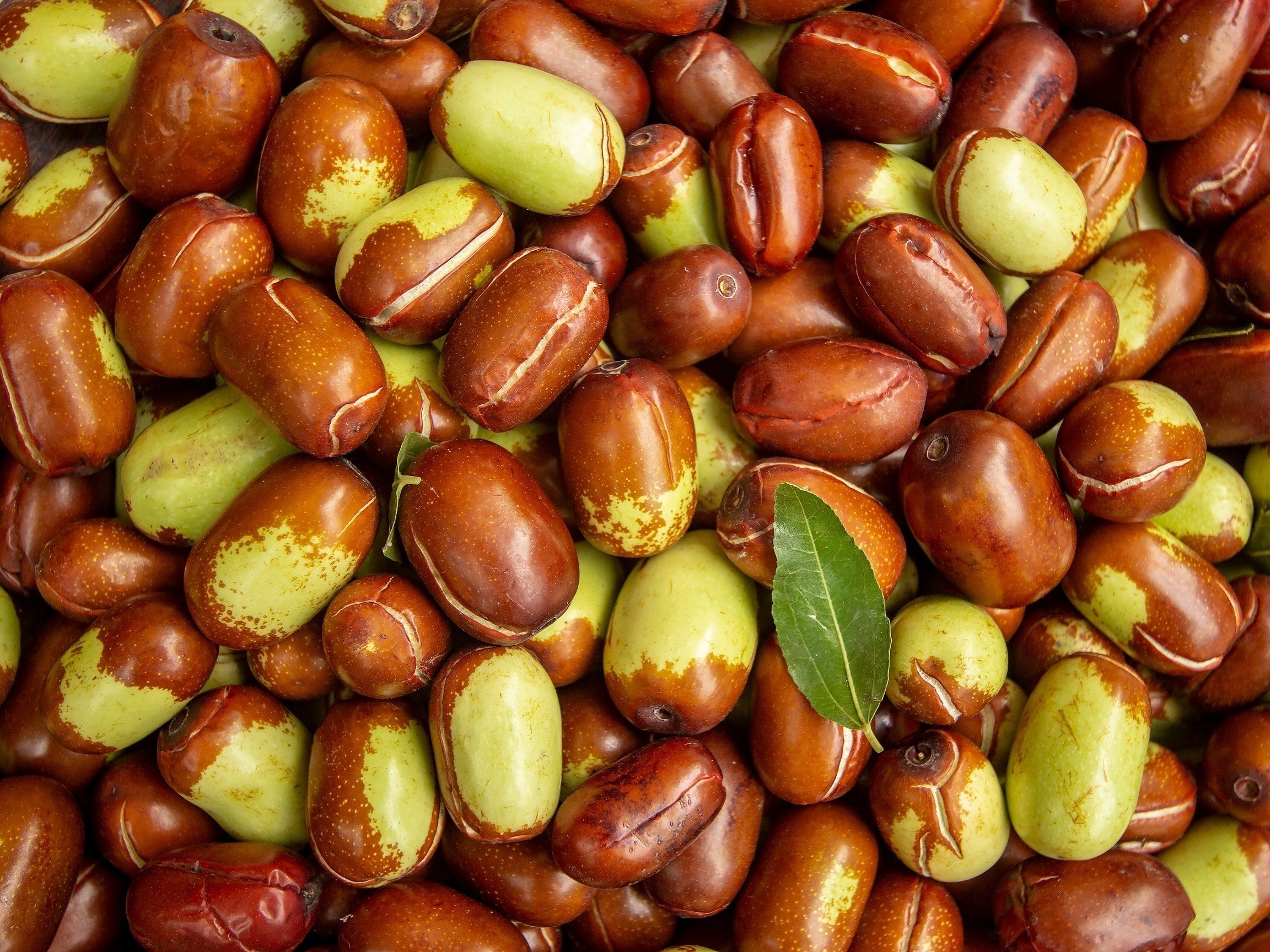 JOJOBA OIL