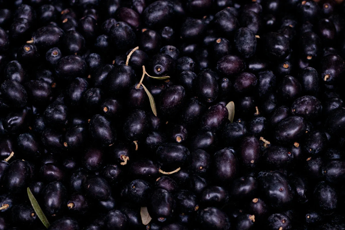 Close-up of dark purple acai berries with smooth, glossy skins and small stems.