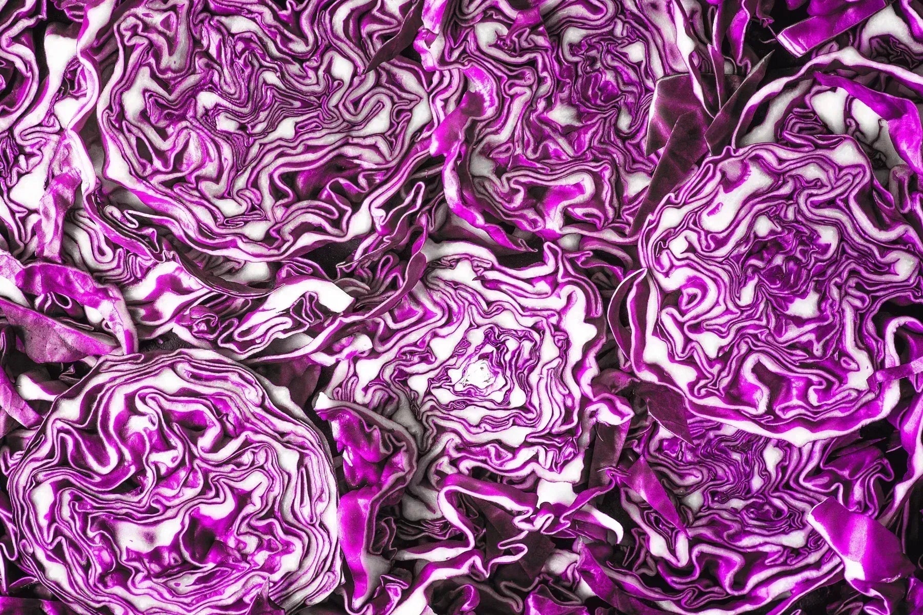 Close-up of fresh red cabbage halves showing vibrant purple and white layers