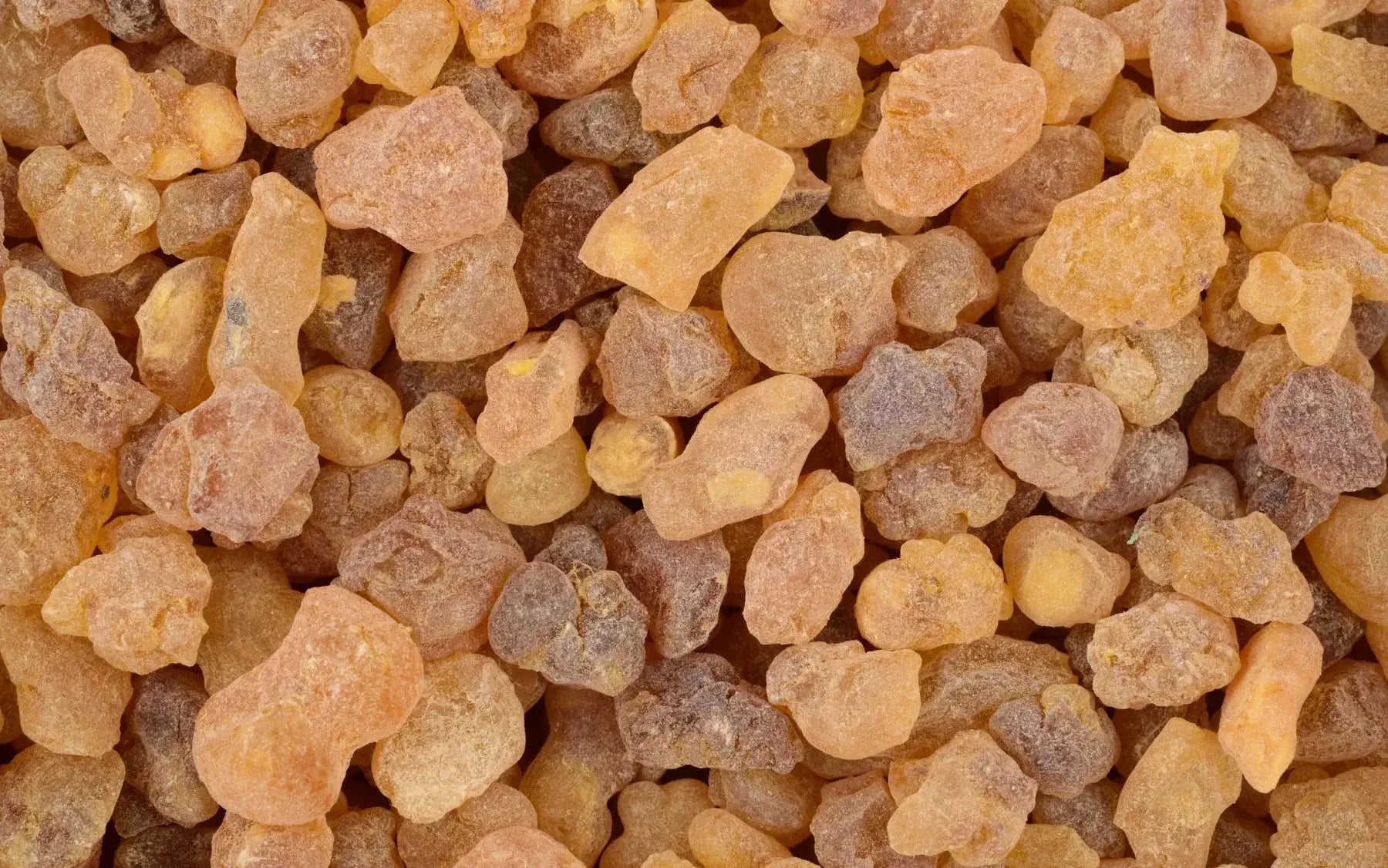 Close-up of natural frankincense resin pieces in golden yellow, amber and brown shades with rough, irregular textures