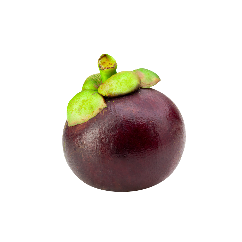 Fresh mangosteen fruit used in Celeste Switala skincare products