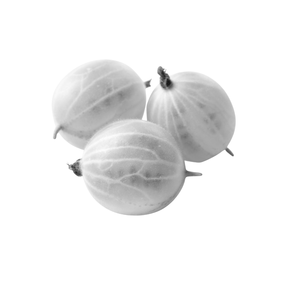 Black and white amla fruits used as a skincare ingredient