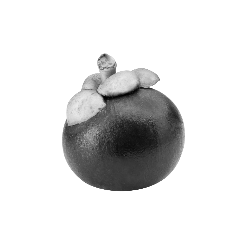 Black and white mangosteen fruit used in Celeste Switala skincare products