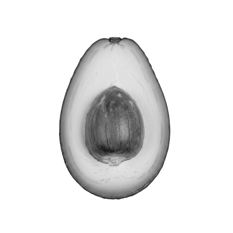 Black and white avocado half used in Celeste Switala skincare products