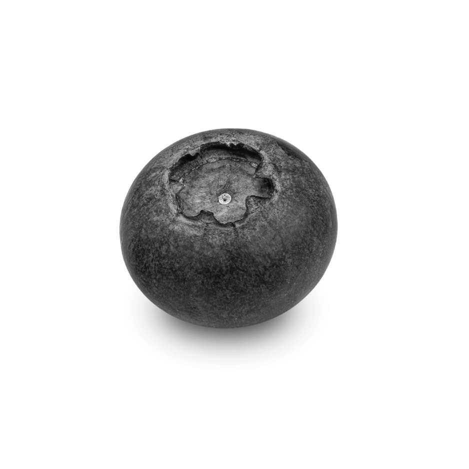 Black and white blueberry used as a skincare ingredient