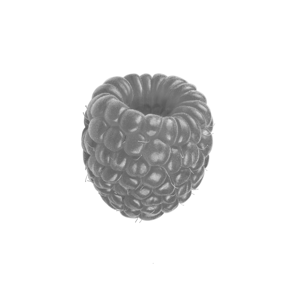Black and white raspberry is used as a botanical skincare ingredient in Celeste Switala products