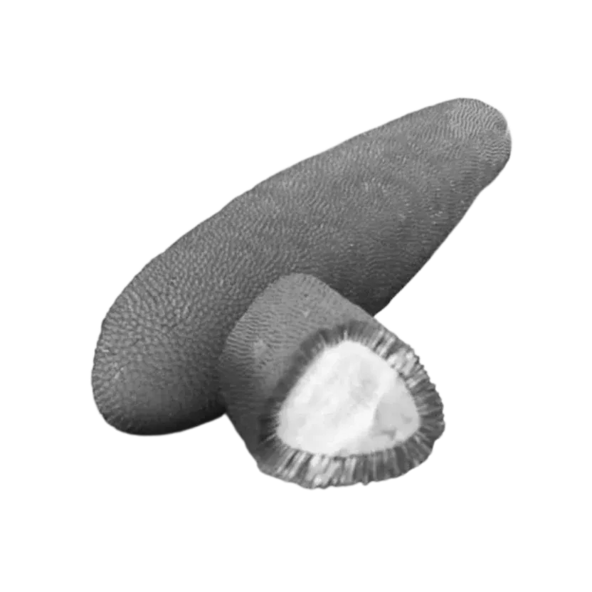 Black and white Buah Merah fruit with textured skin and a cut section revealing its inner flesh.