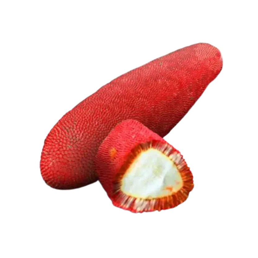 Fresh Buah Merah fruit with textured skin and a cut section showing its interior, used as a natural skincare ingredient.