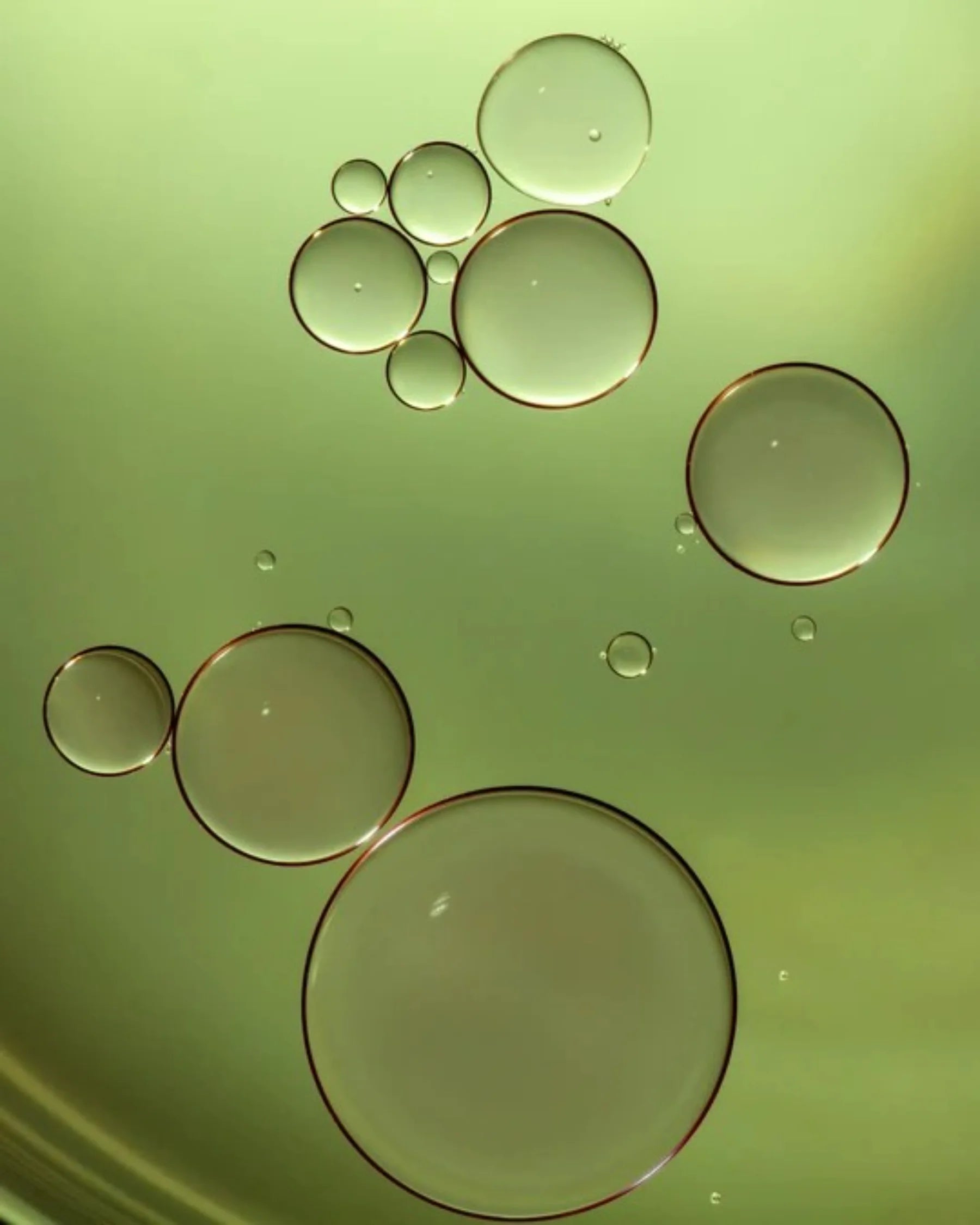 Botanical face oil droplets showing the lightweight texture of Céleste Switala grooming oil